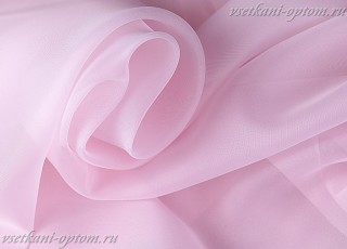 58009