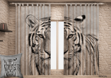 ���� ����� Bengal
